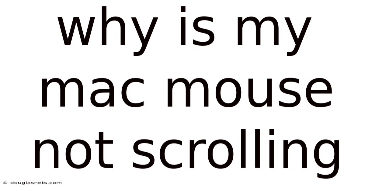 Why Is My Mac Mouse Not Scrolling