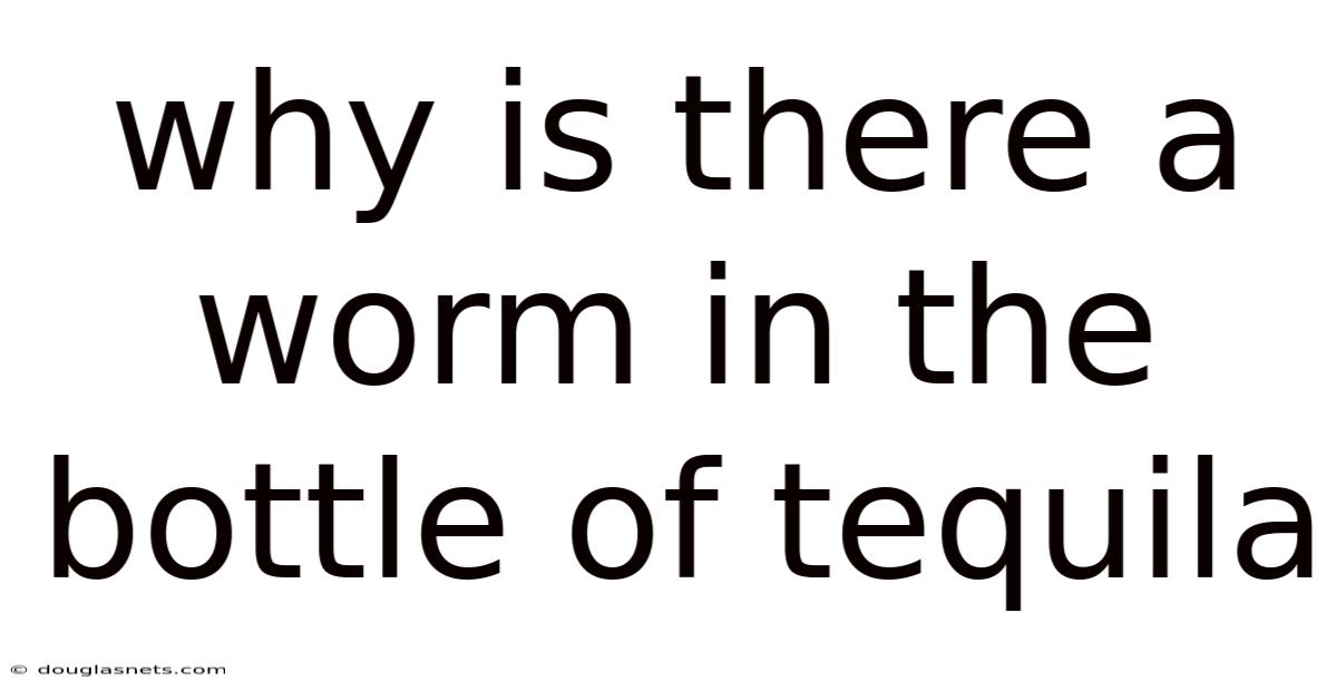 Why Is There A Worm In The Bottle Of Tequila