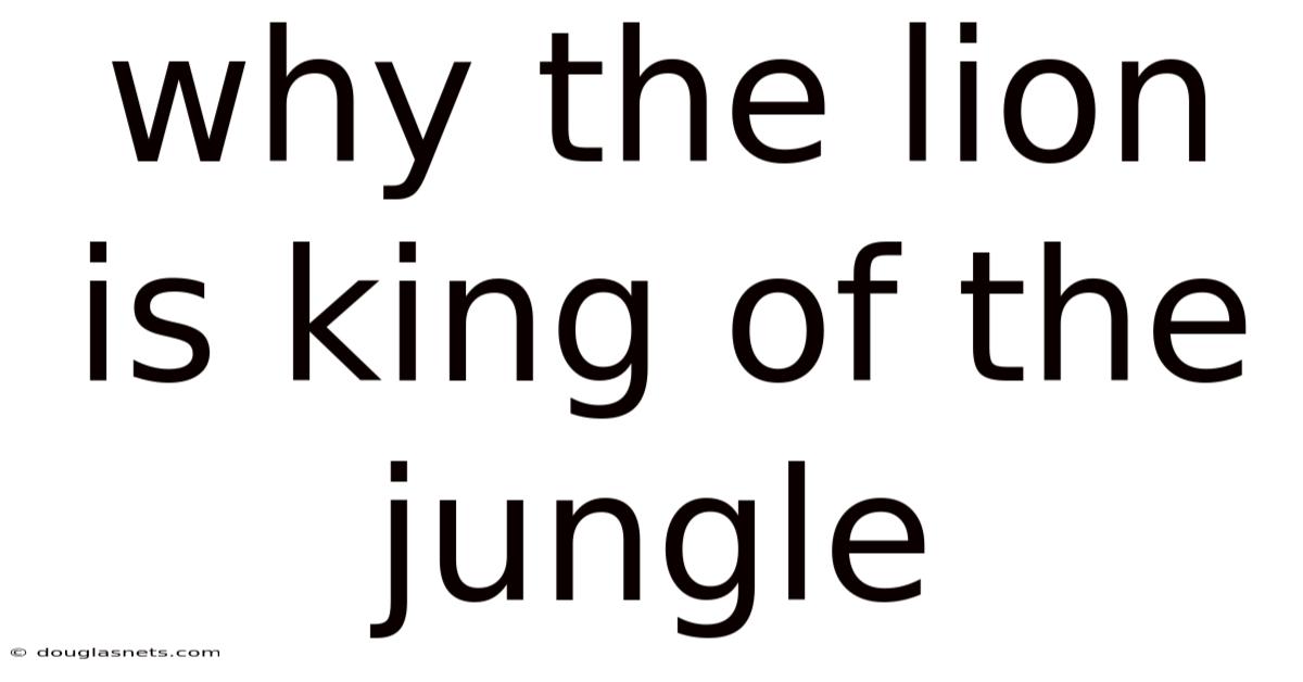 Why The Lion Is King Of The Jungle