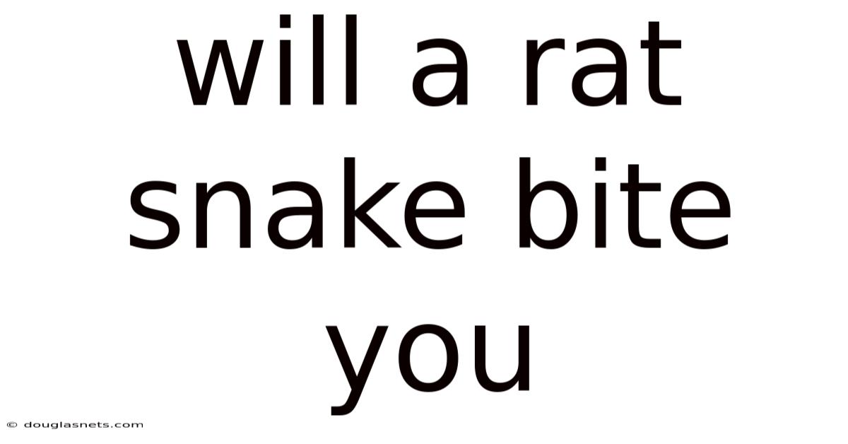 Will A Rat Snake Bite You